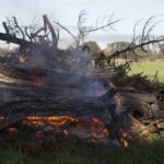 burn-off pile
