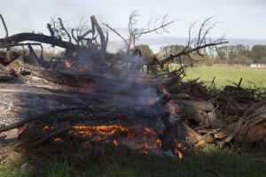 burn-off pile